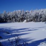 photo of Lake Temagami