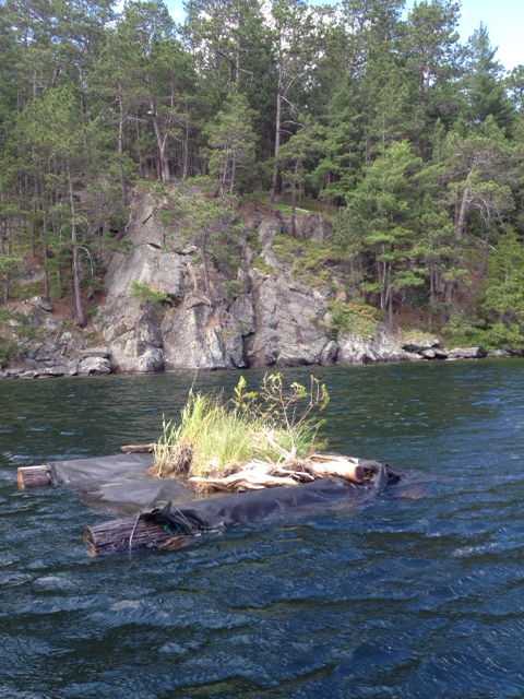 Loon Nest Spring 2014